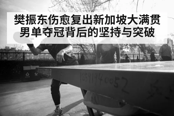 樊振东伤愈复出新加坡大满贯男单夺冠背后的坚持与突破